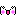 顔
