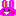 うさぎ