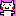 ねこ