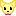 チワワ