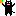 黒猫
