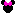 ミニー1