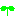 芽