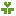aoi
