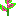 コリウス
