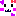 ｗ