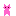ねこ