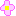 ＦＬＯＷＥＲ