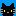 黒猫