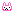 うさぎ