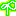 葉っぱ