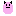 丸エビィちゃん(ピンク)