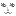 ω