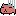 カピ