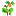 植物１