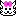 ネコ