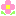 お花