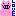 豚