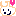 うさぎ