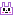 ウサギ