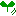 草