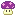 きのこ