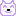 ブタ
