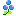 ブルーの花