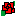 ばら