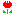 チュ―リップ