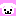 しろわんこ
