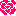 バラ