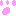 にくきゅうー