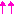 ｌ