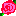ばら