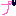 プ