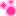 水玉（ピンク