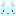 うさぎ