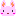 うさぎ２