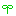 クローバー