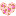 レオパード