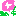 あさがお