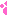 にくきゅう半