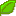 葉っぱ