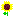 ひまわり