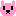 ウサギ