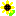 ひまわり
