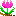 チューリップ