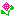 薔薇