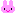 うさぎ